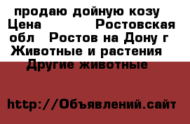 продаю дойную козу › Цена ­ 5 000 - Ростовская обл., Ростов-на-Дону г. Животные и растения » Другие животные   